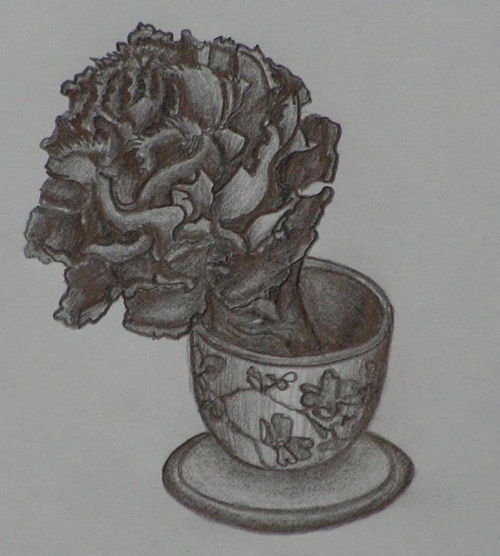 Nelke, 1975, Bleistift-Papier, 12x12.jpg